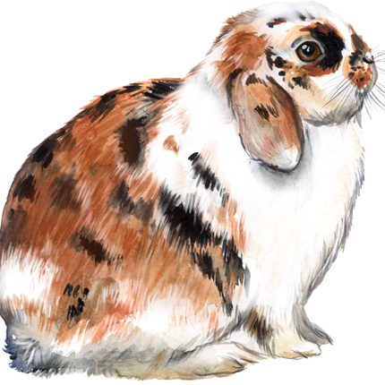 (154-03-1K) Watercolor Bunny Rabbit