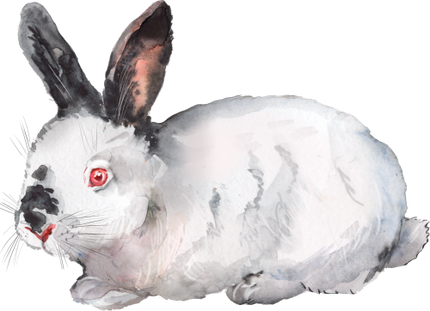 (154-03-2K) Watercolor Bunny Rabbit