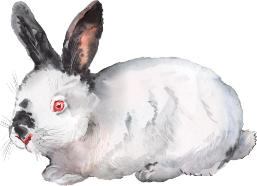 (s154-3-2K) Watercolor Bunny Rabbit