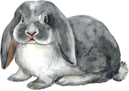 (154-03-1L) Watercolor Bunny Rabbit