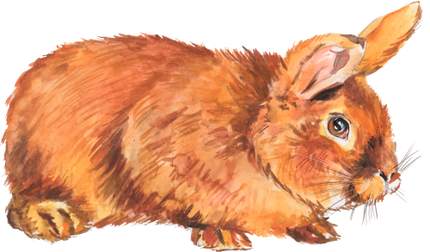 (154-03-2L) Watercolor Bunny Rabbit