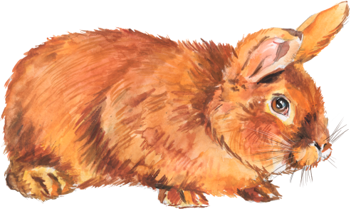 (154-03-2L) Watercolor Bunny Rabbit