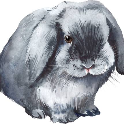 (154-03-1M) Watercolor Bunny Rabbit