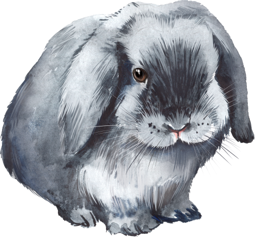 (154-03-1M) Watercolor Bunny Rabbit