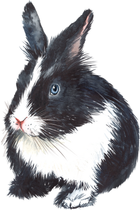 (154-03-1N) Watercolor Bunny Rabbit