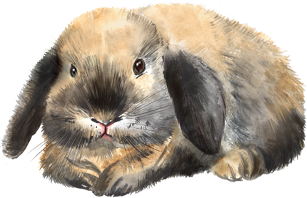 (154-03-2N) Watercolor Bunny Rabbit