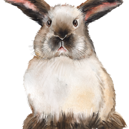 (154-03-1O) Watercolor Bunny Rabbit