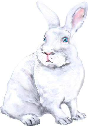 (154-03-2O) Watercolor Bunny Rabbit