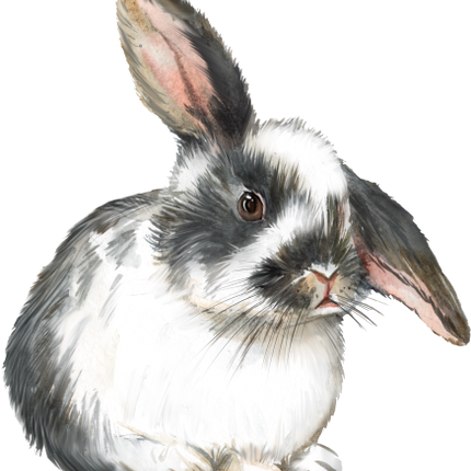 (154-03-1P) Watercolor Bunny Rabbit