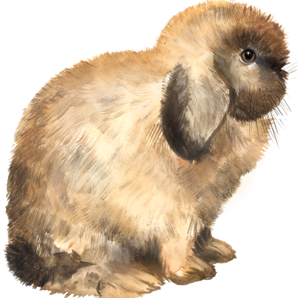 (154-03-2P) Watercolor Bunny Rabbit
