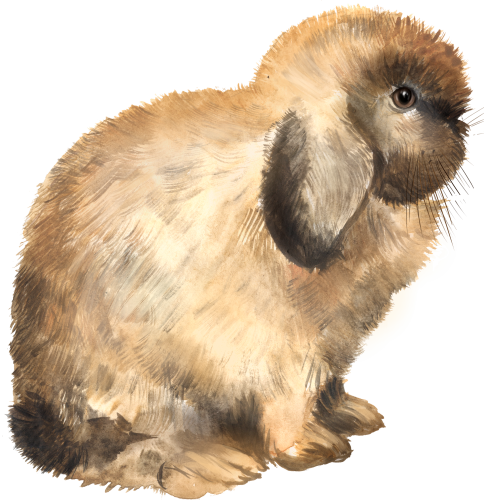 (154-03-2P) Watercolor Bunny Rabbit