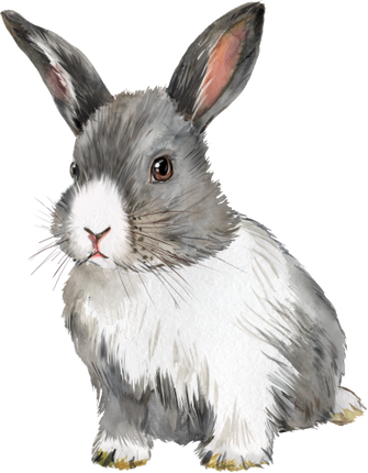 (154-03-1Q) Watercolor Bunny Rabbit