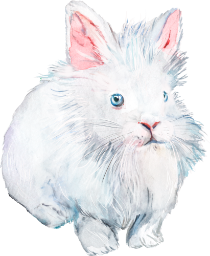 (s154-3-2Q) Watercolor Bunny Rabbit