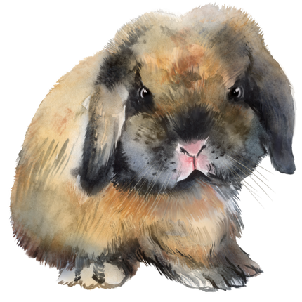 (154-03-1R) Watercolor Bunny Rabbit