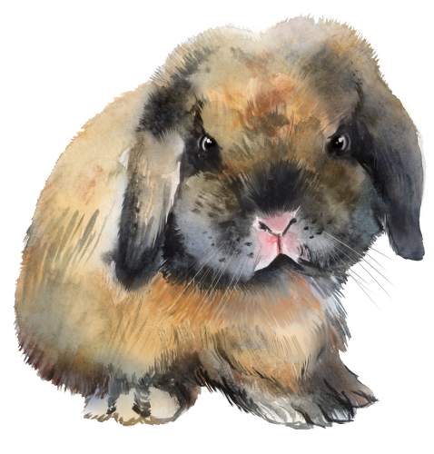(s154-3-1R) Watercolor Bunny Rabbit
