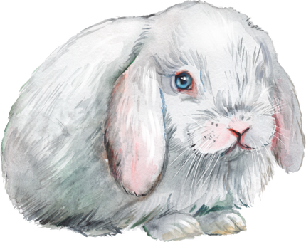 (154-03-2R) Watercolor Bunny Rabbit