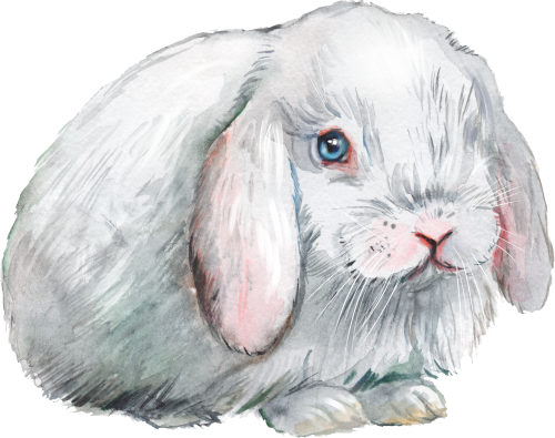 (s154-3-2R) Watercolor Bunny Rabbit