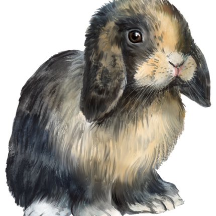 (154-03-1S) Watercolor Bunny Rabbit