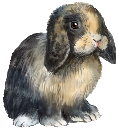 (154-03-1S) Watercolor Bunny Rabbit