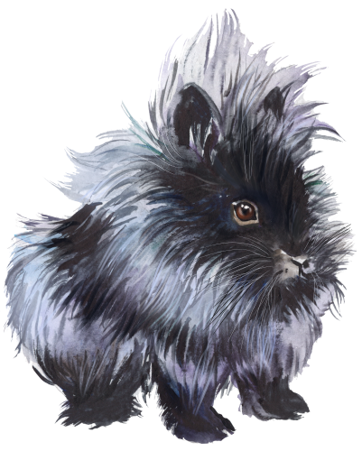 (s154-3-2S) Watercolor Bunny Rabbit