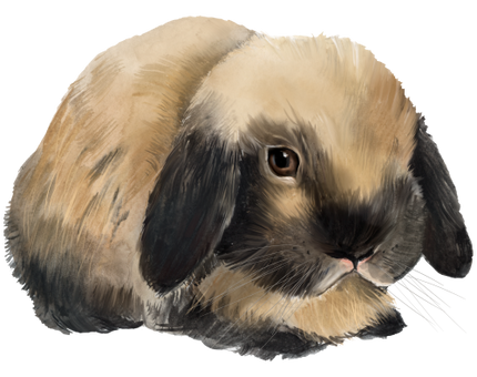 (154-03-1T) Watercolor Bunny Rabbit