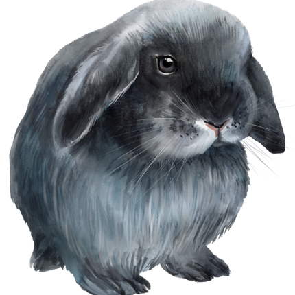 (154-03-1U) Watercolor Bunny Rabbit