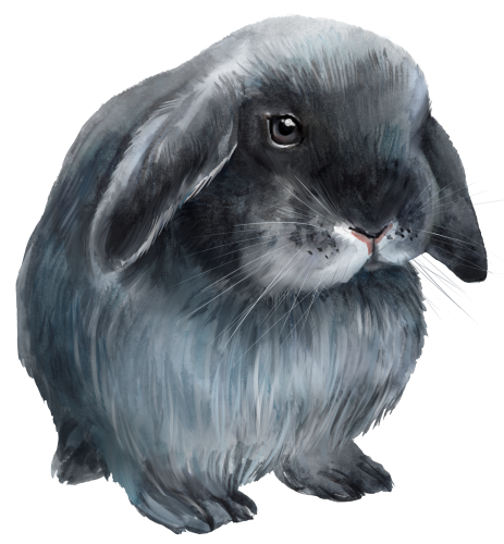 (154-03-1U) Watercolor Bunny Rabbit
