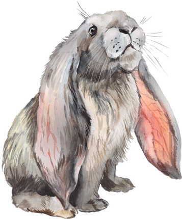 (154-03-2U) Watercolor Bunny Rabbit