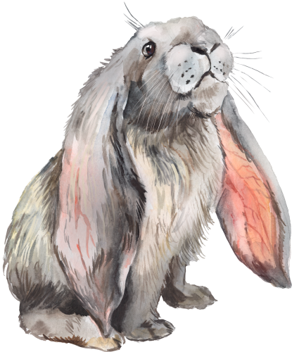 (s154-3-2U) Watercolor Bunny Rabbit