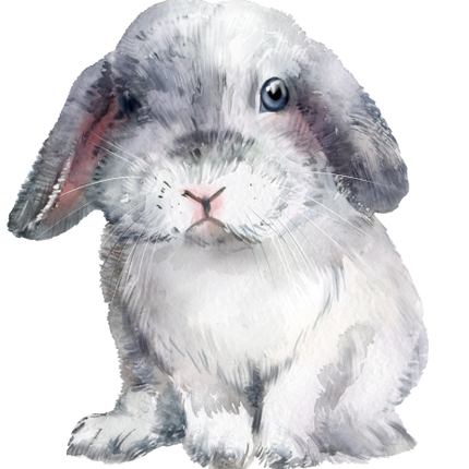 (154-03-1W) Watercolor Bunny Rabbit