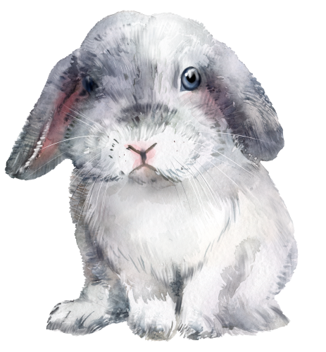 (s154-3-1W) Watercolor Bunny Rabbit