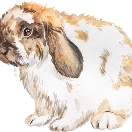 (154-03-2W) Watercolor Bunny Rabbit