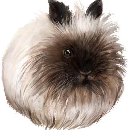 (154-03-1X) Watercolor Bunny Rabbit