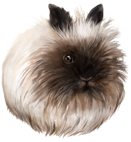 (154-03-1X) Watercolor Bunny Rabbit