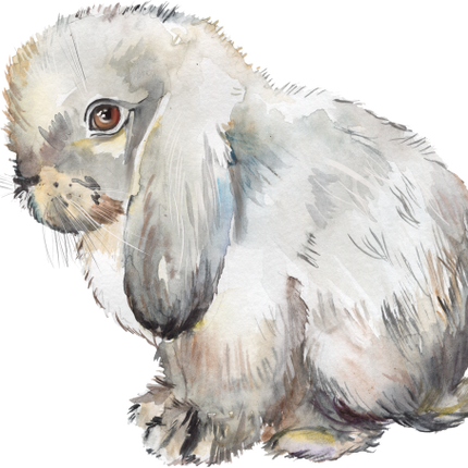 (154-03-2X) Watercolor Bunny Rabbit