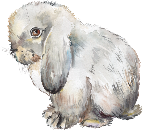 (s154-3-2X) Watercolor Bunny Rabbit