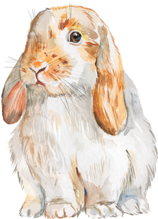 (154-03-2Y) Watercolor Bunny Rabbit