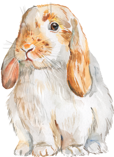 (s154-3-2Y) Watercolor Bunny Rabbit