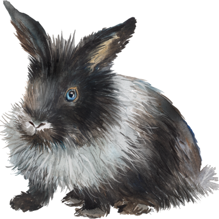 (154-03-1Z) Watercolor Bunny Rabbit