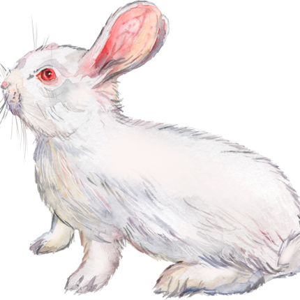 (154-03-2Z) Watercolor Bunny Rabbit