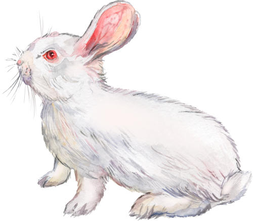 (s154-3-2Z) Watercolor Bunny Rabbit
