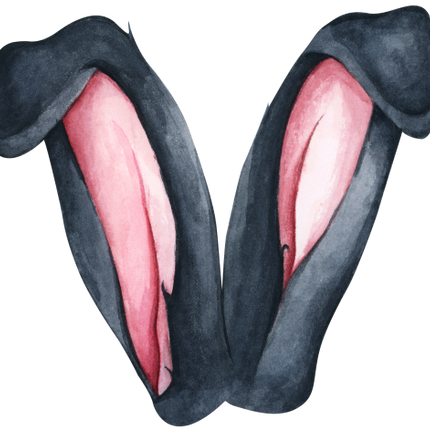 (154-05-A) Watercolor Bunny Rabbit Ears