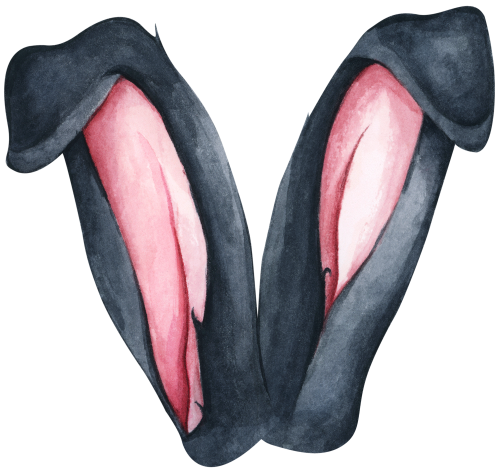 (s154-5-A) Watercolor Bunny Rabbit Ears