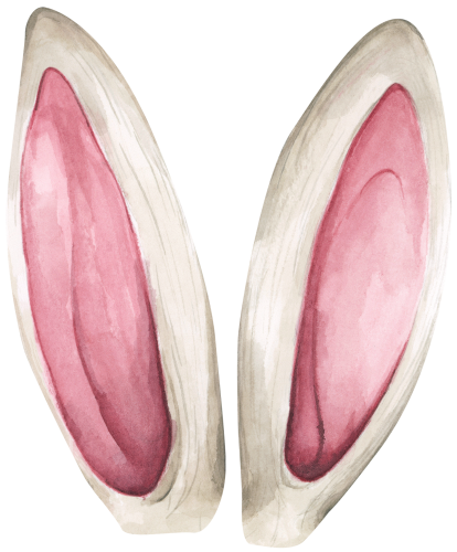 (154-05-B) Watercolor Bunny Rabbit Ears