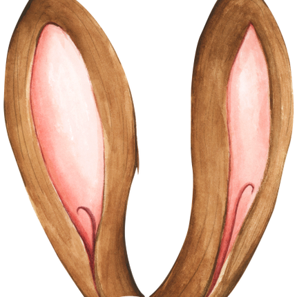 (154-05-C) Watercolor Bunny Rabbit Ears