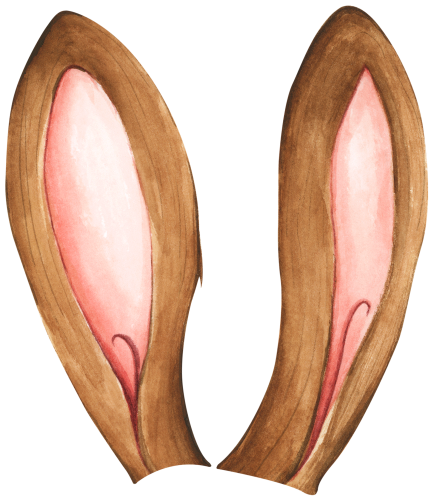 (s154-5-C) Watercolor Bunny Rabbit Ears