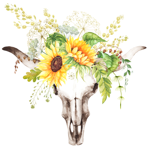 (s156-A) Cow Skull Sunflowers