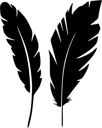 (s159-B) Set of 2 Bird Feathers