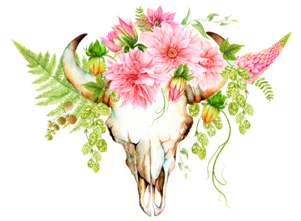 (s016-A) Cow Skull Pink Dahlias Flowers