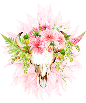 (s016-B) Cow Skull Pink Dahlias Flowers